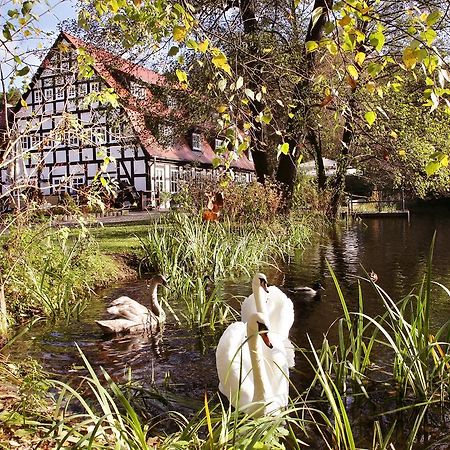 Hotel Springbach-Mühle Belzig Exterior foto