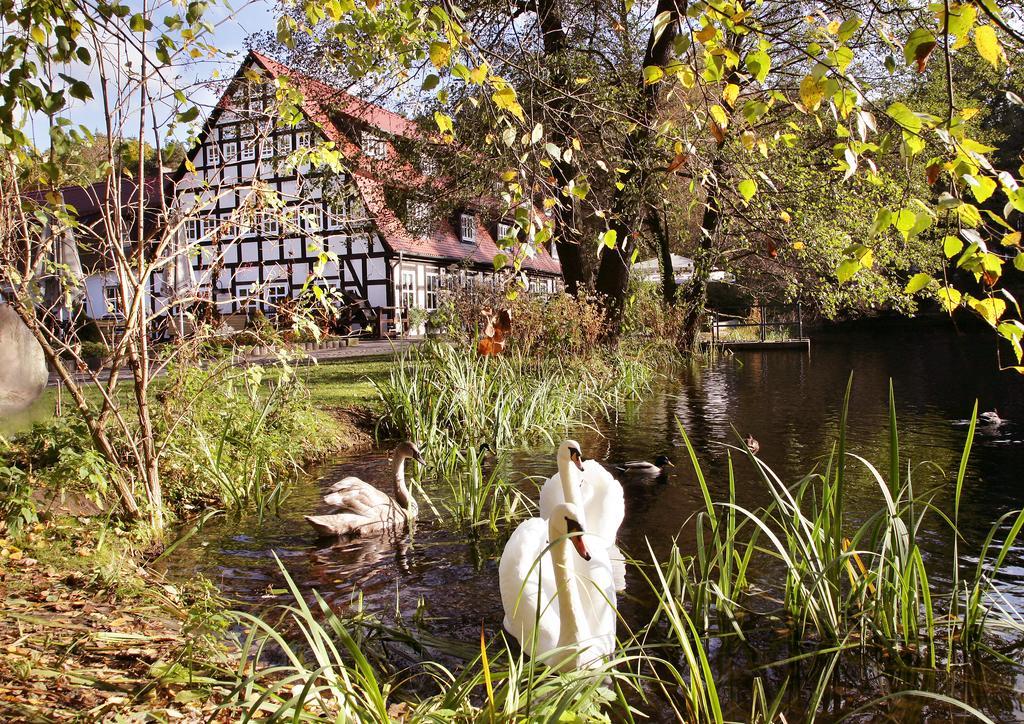 Hotel Springbach-Mühle Belzig Exterior foto